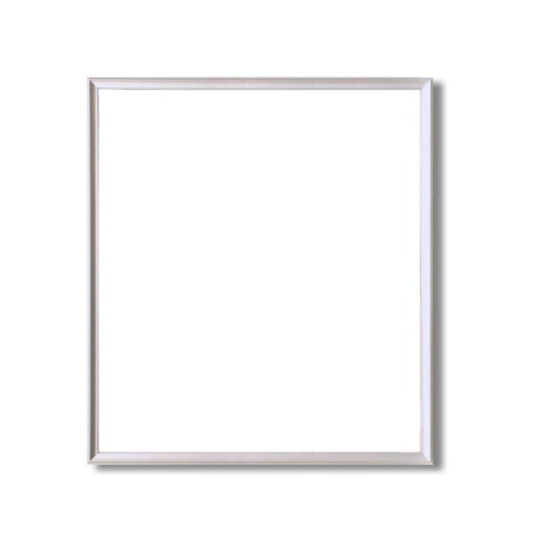【額縁・絵画額・水彩額】壁掛けひも付 ■5003デッサン額(シルバー) 三三サイズ(606×455mm)（代引不可）