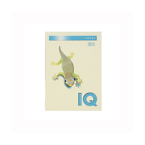 （業務用セット） 伊東屋 バイオトップカラー A4判 250枚入 160g／m2 BT830 バニラ 【×2セット】（代引不可）