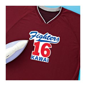 （まとめ）サンワサプライ インクジェット用化繊布用アイロンプリント紙 JP-TPRTENA6【×10セット】（代引不可）