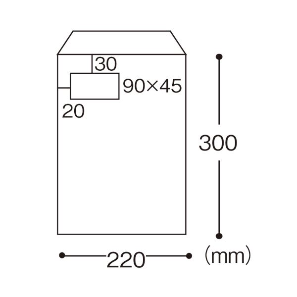 （まとめ） TANOSEE 窓付クラフト封筒 A4 裏地紋付 85g／m2 1パック（100枚） 【×2セット】（代引不可）_1