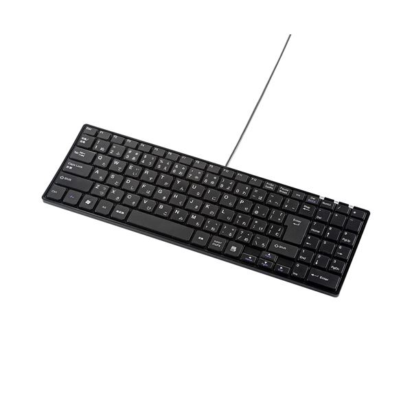 (まとめ)サンワサプライ USBスリムキーボード SKB-SL17BKN【×2セット】（代引不可）