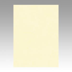 （業務用セット） 文運堂 ニューカラーR 四ツ切 横392×縦542mm 4NCR-112 うすクリーム 100枚入 【×2セット】（代引不可）