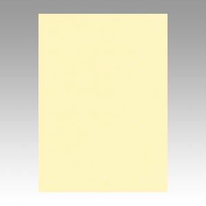 （業務用セット） 文運堂 ニューカラーR 四ツ切 横392×縦542mm 4NCR-105 うぐいす 100枚入 【×2セット】（代引不可）の通販は 10,450円