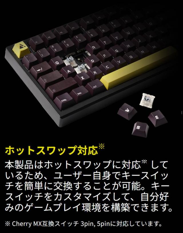 プリンストン ULTRA PLUS ガスケットマウント搭載ゲーミング