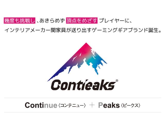 Eiger ゲーミングチェア Contieaks アイガー コンティークス 低床座 eスポーツ 3Dアームレスト PCチェア 高機能チェア(代引不可)【送料無料】_10