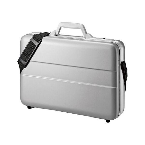 サンワサプライ ABSハードPCケース BAG-ABS5N2(代引不可)【送料無料】