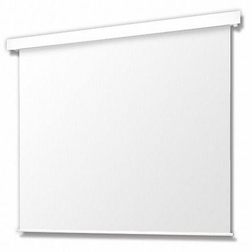 オーエス Pセレクション電動スクリーン 白パネル/ターミナル/マスクなし/100型NTSC SEP-100VN-TSW1-WG103(代引不可)【送料無料】の通販は