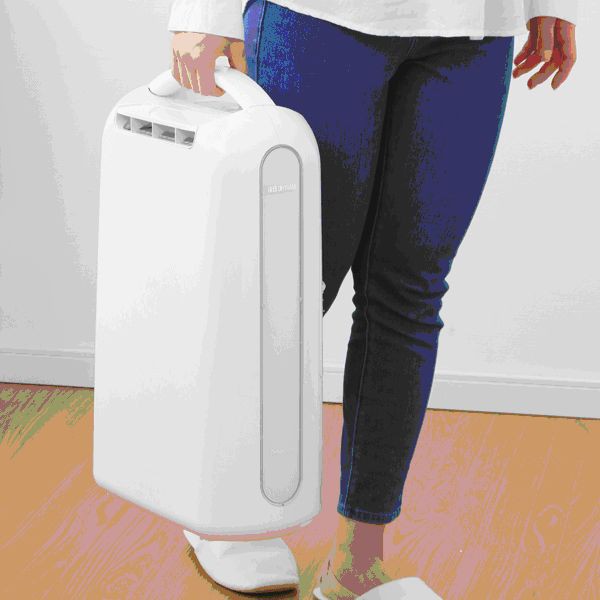 アイリスオーヤマ 衣類乾燥除湿機(デシカント式) IJD-H20-P(代引