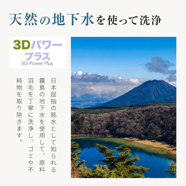 日本製 羽毛布団 セミダブルロング 170×210cm ホワイトダックダウン90% CILシルバーラベル 充填量1.2kg 立体キルト 抗菌 アレルGプラス&2倍洗浄 350dp以上 かさ高145mm以上 掛け布団 国産_9
