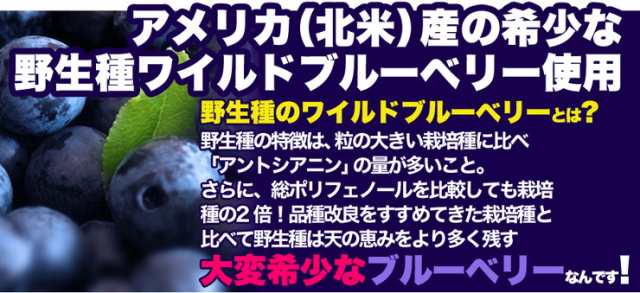 返品 キャンセル不可 野生種 ワイルドブルーベリー大容量1kgギフト カタログギフト 人気 詰め合わせ 詰合せ 代引不可 の通販はau Pay マーケット リコメン堂