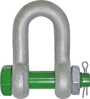 大洋 グリーンピンスタンダードシャックル ストレート・ボルトナット 2ｔ【GPSB-2T】【送料無料】