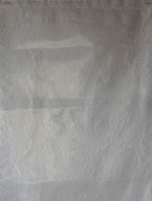 Ｓｈｉｍａｚｕ 回収袋 透明中（Ｖ）【B-2】(清掃用品・ゴミ袋)(代引不可)【送料無料】