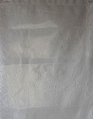 Ｓｈｉｍａｚｕ 回収袋 透明小（Ｖ）【B-3】(清掃用品・ゴミ袋)【送料無料】