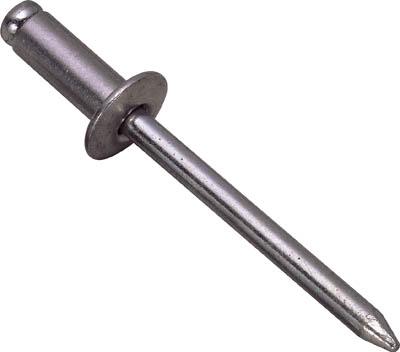 エビ ブラインドリベット（1000本入） ステンレス／スティール 6−5【NSS6-5】(ファスニングツール・ブラインドリベット)【送料無料】の通販は