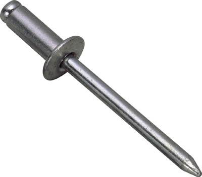 エビ ブラインドリベットエコＢＯＸ（100本入）ステンレス鋼／スチール写真8−8【NSS 8-8EB】【貨物輸送無料】