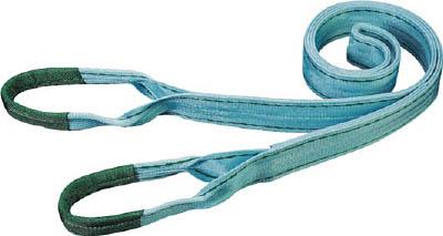 田村 ベルトスリング Ｐタイプ 3Ｅ 50×5．0【PE0500500】(吊りクランプ・スリング・荷締機・ベルトスリング)【送料無料】