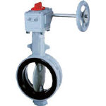巴 700Ｇ−2Ｕ ＪＩＳ10Ｋ ＦＣＤ450／ＳＣＳ14／ＮＢＲ 65Ａ【700G-2U-65-S-N】(管工機材・バルブ)【送料無料】
