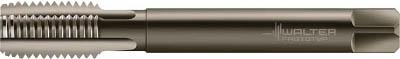 ワルター プロトティップ ＥＣＯ ＣＩ 切削タップ【JE20364-M10】(ねじ切り工具・ポイントタップ)【送料無料】の通販は 5,520円