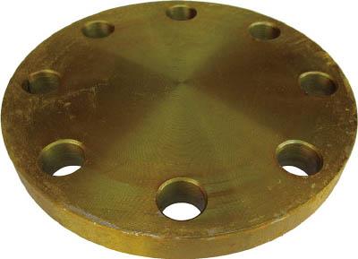 イシグロ フランジＦＦ型ＳＳ400【10BL-F100A】(管工機材・フランジ)【送料無料】の通販は 8,860円