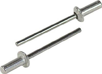 エビ ブラインドリベットシールドタイプ（1000本）アルミ／スティール6−5【NSA65C】(ファスニングツール・ブラインドリベット)の通販は