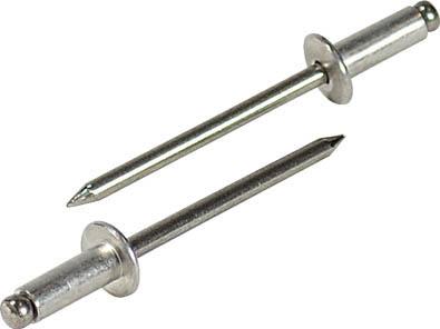 エビ ブラインドリベット（1000本入） アルミニウム／ステンレス 3−2【NTA3-2】(ファスニングツール・ブラインドリベット)【送料無料】の通販は 6,555円