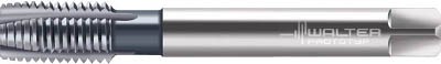 ワルター プロトティップ ＩＮＯＸ ポイントタップ（ＴＩＣＮコート）【JC2026306-M12】(ねじ切り工具・ポイントタップ)【送料無料】の通販は 6,199円