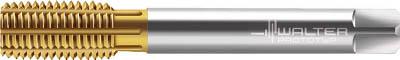 ワルター プロトティップ Ｓ ＰＬＵＳ 転造タップ（ＴＩＮコート）【JD2066705-M12】(ねじ切り工具・ロールタップ)【送料無料】の通販は