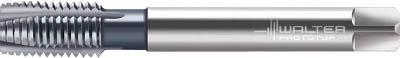 ワルター プロトティップ ＩＮＯＸ ポイントタップ（ＴＩＣＮコート）【JC2026306-M20】(ねじ切り工具・ポイントタップ)【送料無料】