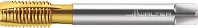 ワルター プロトティップ Ｈ ポイントタップ（ＴＩＮコート）【JC2036005-M20】(ねじ切り工具・ポイントタップ)【送料無料】