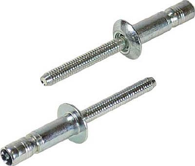 エビ Ｓボルト（100本入） ＳＮＳ64159ＥＢ【SNS64159EB】(ファスニングツール・ブラインドリベット)【送料無料】の通販は 8,443円