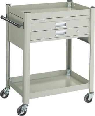 TRUSCO コンビネーションワゴン 643X427XH880 2段引出付 TCW81B1【送料無料】