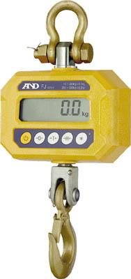 A&amp;D クレーンスケール 500KG FJK500I【送料無料】