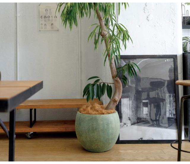 ラムダ スリム長角プランター M ユニソン グレー 大型プランター