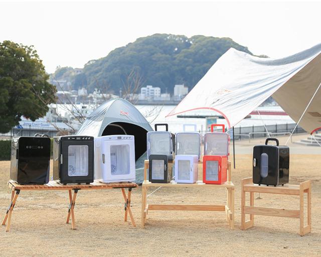 12L 冷温庫 冷蔵庫 保冷庫 ポータブル ミニ ペルチェ 小型 ポータブル