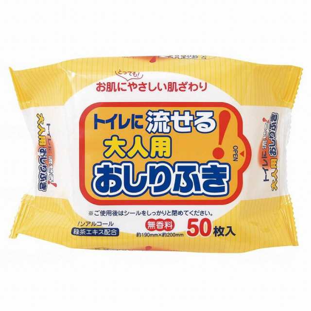 株式会社ペーパーテック トイレに流せる大人用おしりふき 4カートン ケース ケース(代引不可)【送料無料】｜au PAY マーケット