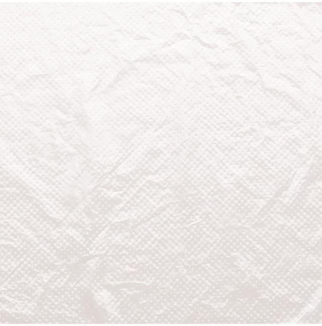 【単品2個セット】サラヤ サラヤ プラスチックエプロン袖なし 50枚入 ケース ホワイト 51077 975088 710 12350(代引不可)【送料無料】