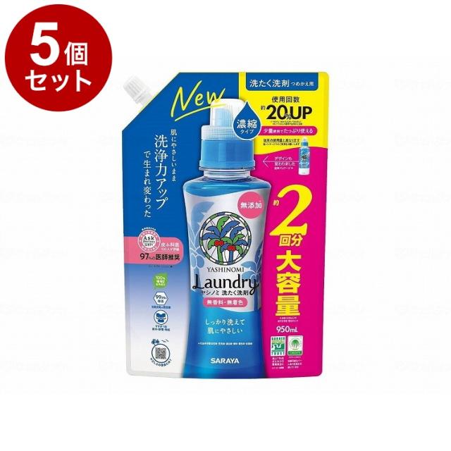 寒蘭-038 146-4H1 華神×日向の青 苗 交配種 寒蘭-038 146-