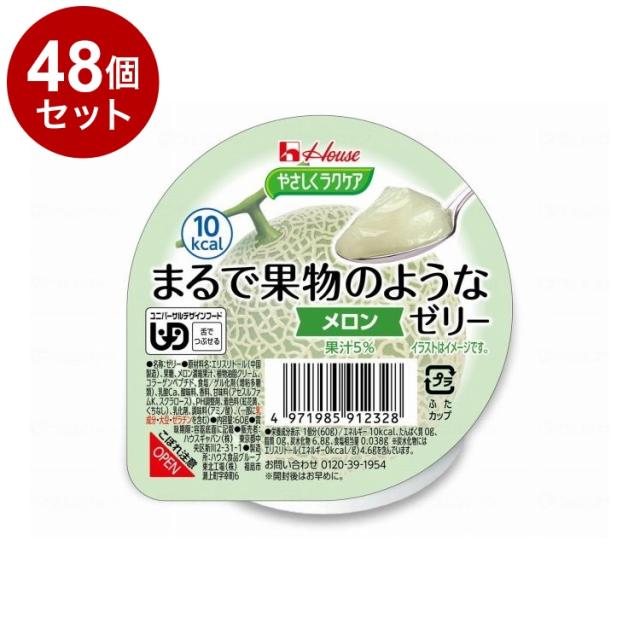 【単品48個セット】 ハウスギャバン やさしくラクケア まるで果物のようなゼリー/個/メロン(代引不可)【送料無料】