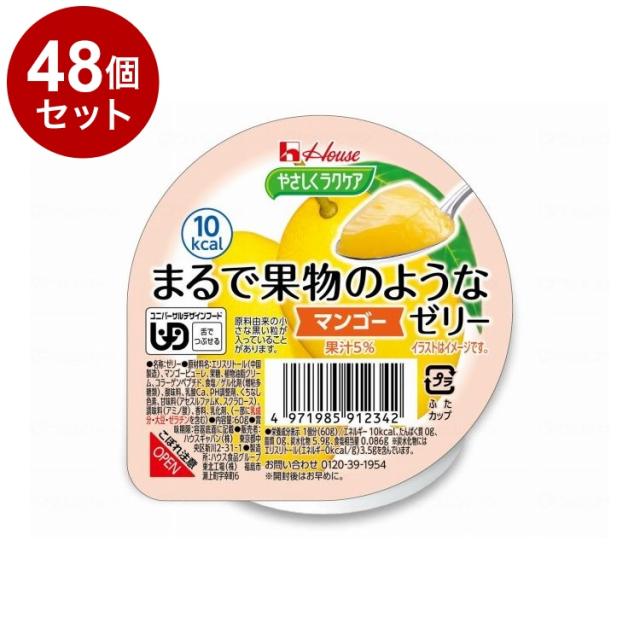 【単品48個セット】 ハウスギャバン やさしくラクケア まるで果物のようなゼリー/個/マンゴー(代引不可)【送料無料】