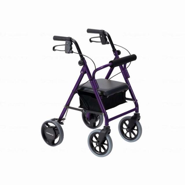 法人限定 竹虎 歩行車ハッピ IIIミニ抑速ブレ キ2 パ プルメタリック