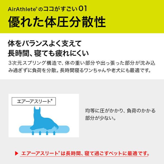 洗えるペット用敷布団 エアーアスリート 立体構造素材使用 3L 145×110cm ペットマットレス 通気性 高反発 洗える 丸洗い 速乾性 水洗い ペットマット ペット 敷布団 硬め 硬い 高反発マット(代_2