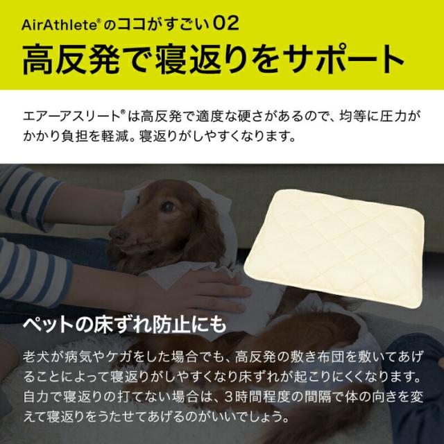 洗えるペット用敷布団 エアーアスリート 立体構造素材使用 3L 145×110cm ペットマットレス 通気性 高反発 洗える 丸洗い 速乾性 水洗い ペットマット ペット 敷布団 硬め 硬い 高反発マット(代_3