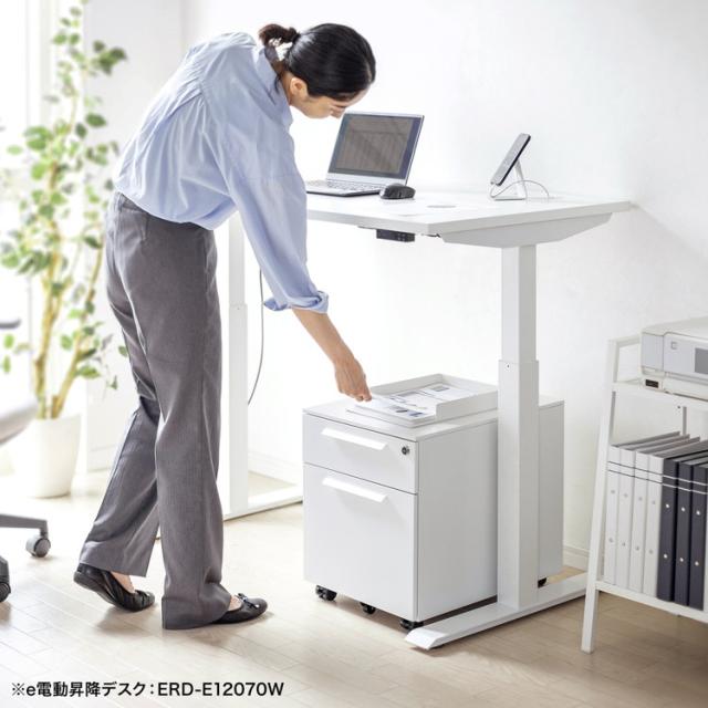 サンワサプライ キャビネット SNW-105W(代引不可)【送料無料】