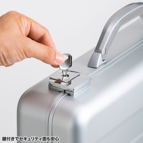 サンワサプライ PCアルミケース BAG-AL4N2(代引不可)【送料無料】_5