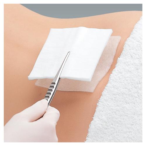 アルケア デルマエイド 規格:6号 サイズ:100×100 11984【送料無料】 6,488円