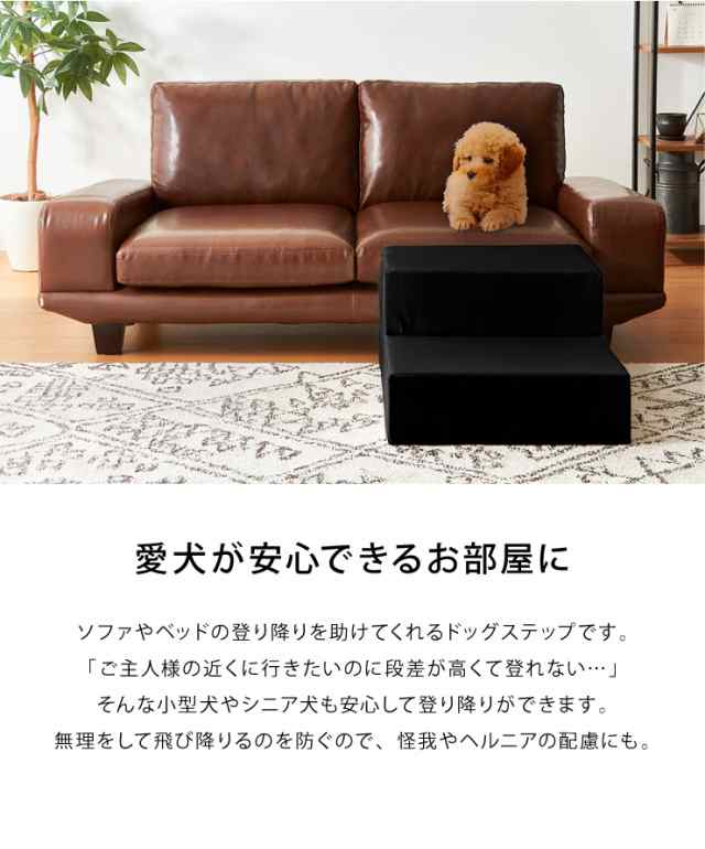 ドッグステップ 階段 Lサイズ 2段 犬用 PVC レザー 小型犬 高齢犬