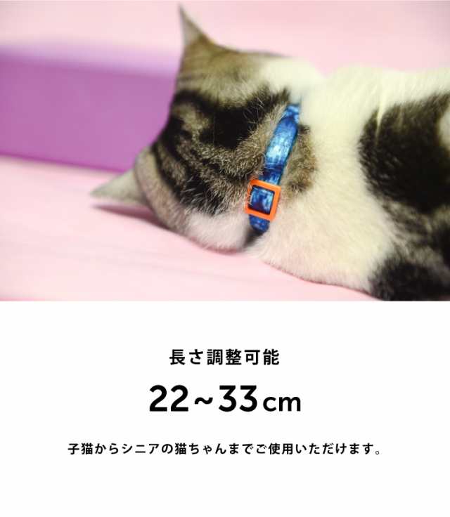 猫 首輪 2本セット ねこ ネコ 安全首輪 セーフティ首輪 かわいい カワイイ 可愛い キャットカラー Xi Uf C001 代引不可 送料無料 の通販はau Pay マーケット リコメン堂