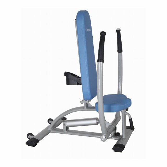 DK-672 ダイコー チェストプレス/ロウ 油圧GYMマシン 準業務用 トレーニング フィットネス 大胸筋 胸板 三角筋 上腕三頭筋 12段階負荷 トレーニングマシン ローイング ロウイング 健康器具 DAIKOU(代引不可)の通販は