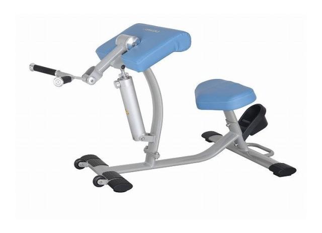 DK-678 ダイコー 油圧マシン アームカール アームエクステンション トレーニングマシン 油圧式 DAIKOU 大広 準業務用 シニアフィットネス 高齢者(代引不可)_1