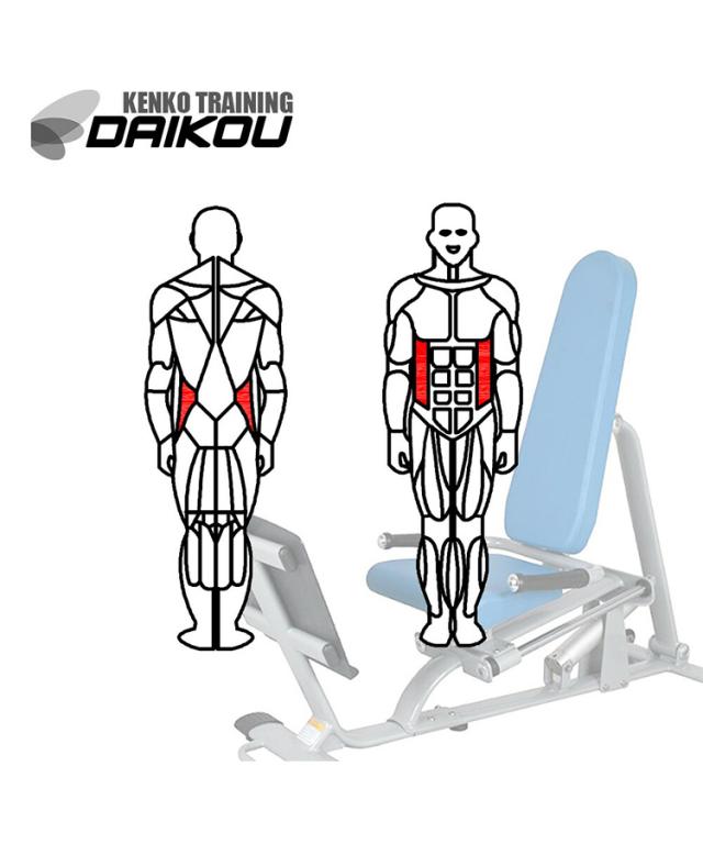 DK-680 ダイコー 油圧マシン レッグプレス トレーニングマシン 油圧式 筋力トレーニング 機能訓練 サーキットトレーニング リハビリ DAIKOU 大広 準業務用(代引不可)【送料無料】_4